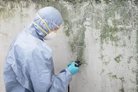 Best Air Quality Testing for Mold Spores  in , MN